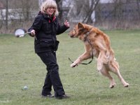 Bendix Obedience Workshop beim VdH Mauer 2016 (30)